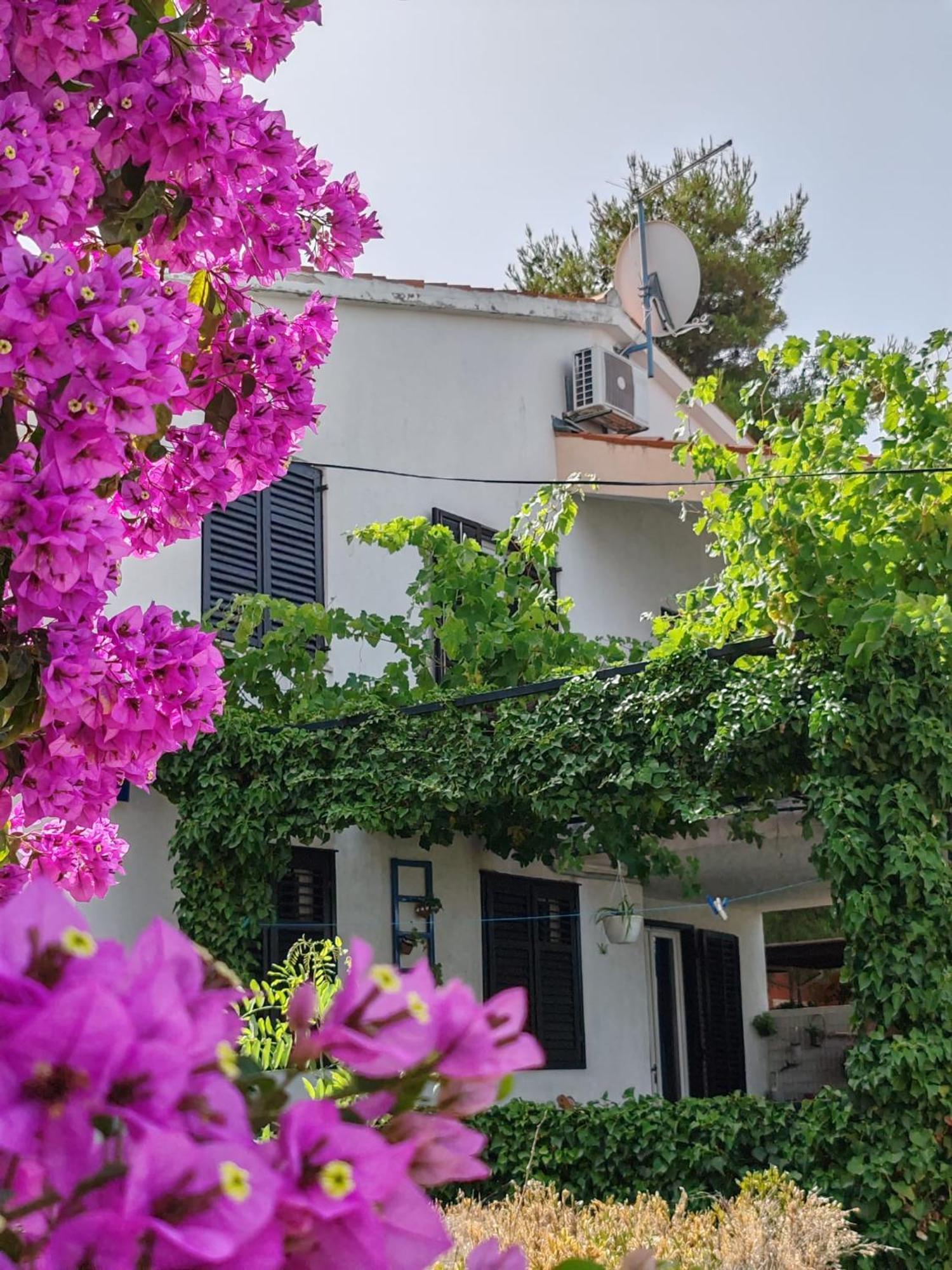 קלק Apartments Markotic מראה חיצוני תמונה